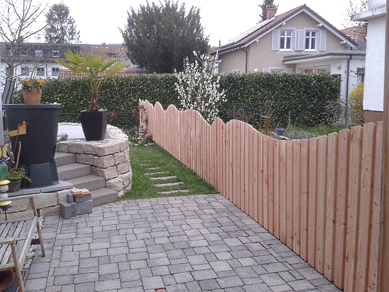 Gartenzaun Douglasie